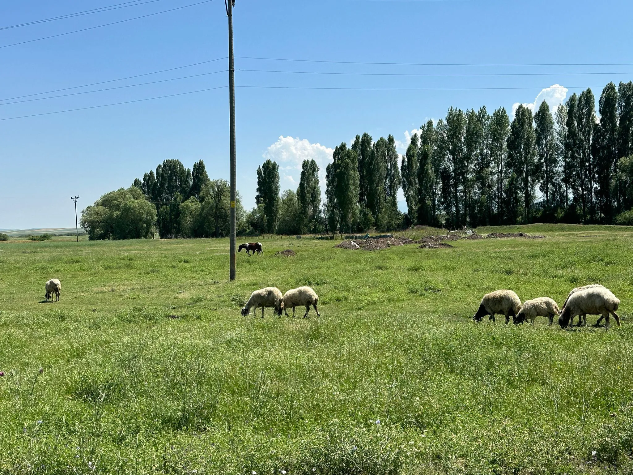 IMG-20241008-WA0004