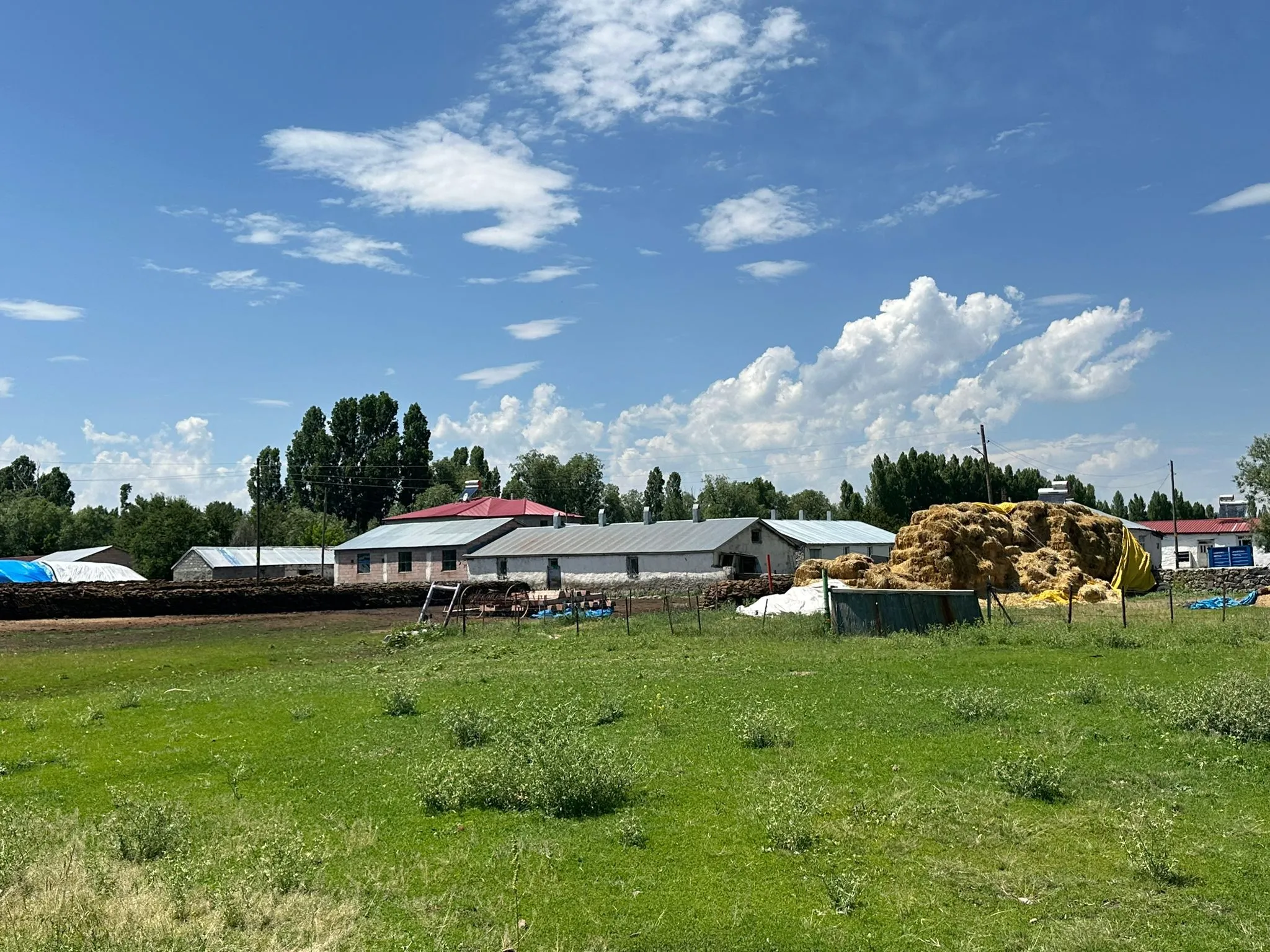 IMG-20241008-WA0005