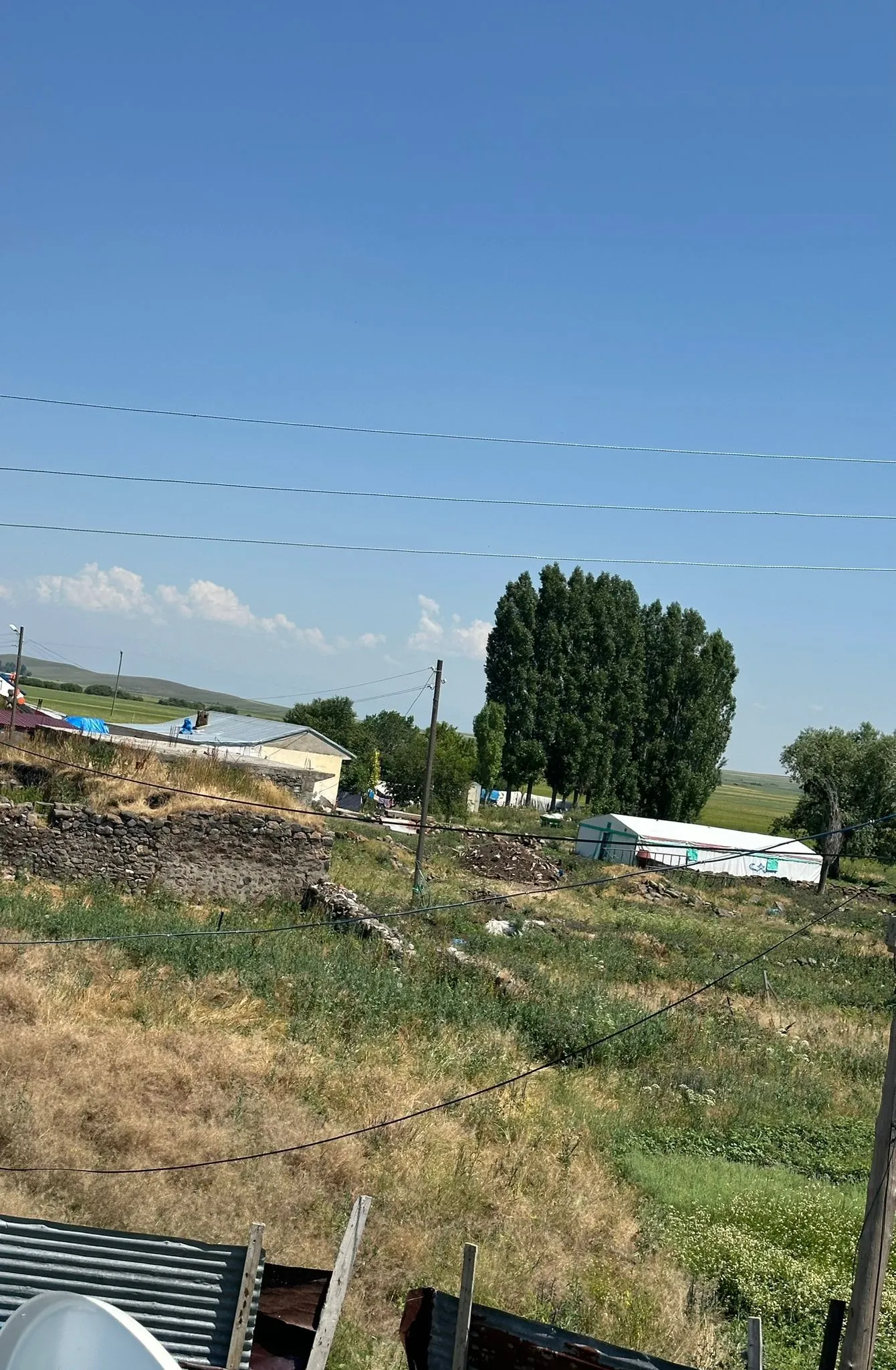 IMG-20241008-WA0007