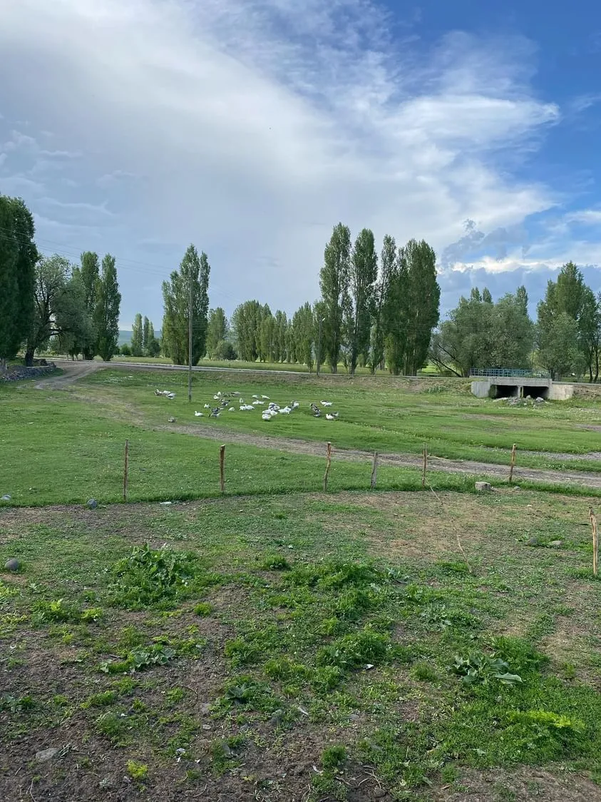 IMG-20241008-WA0008