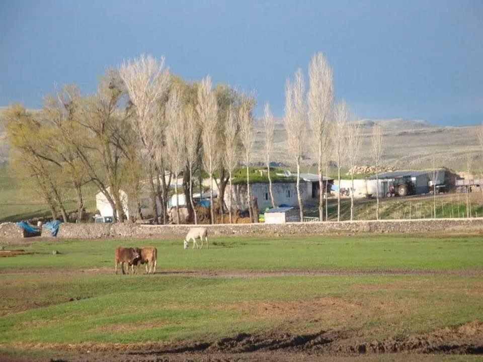 IMG-20241008-WA0018