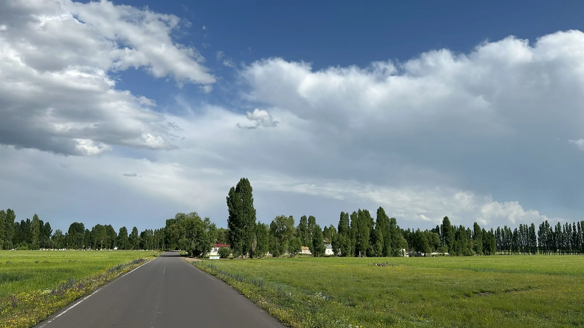 IMG-20241013-WA0013