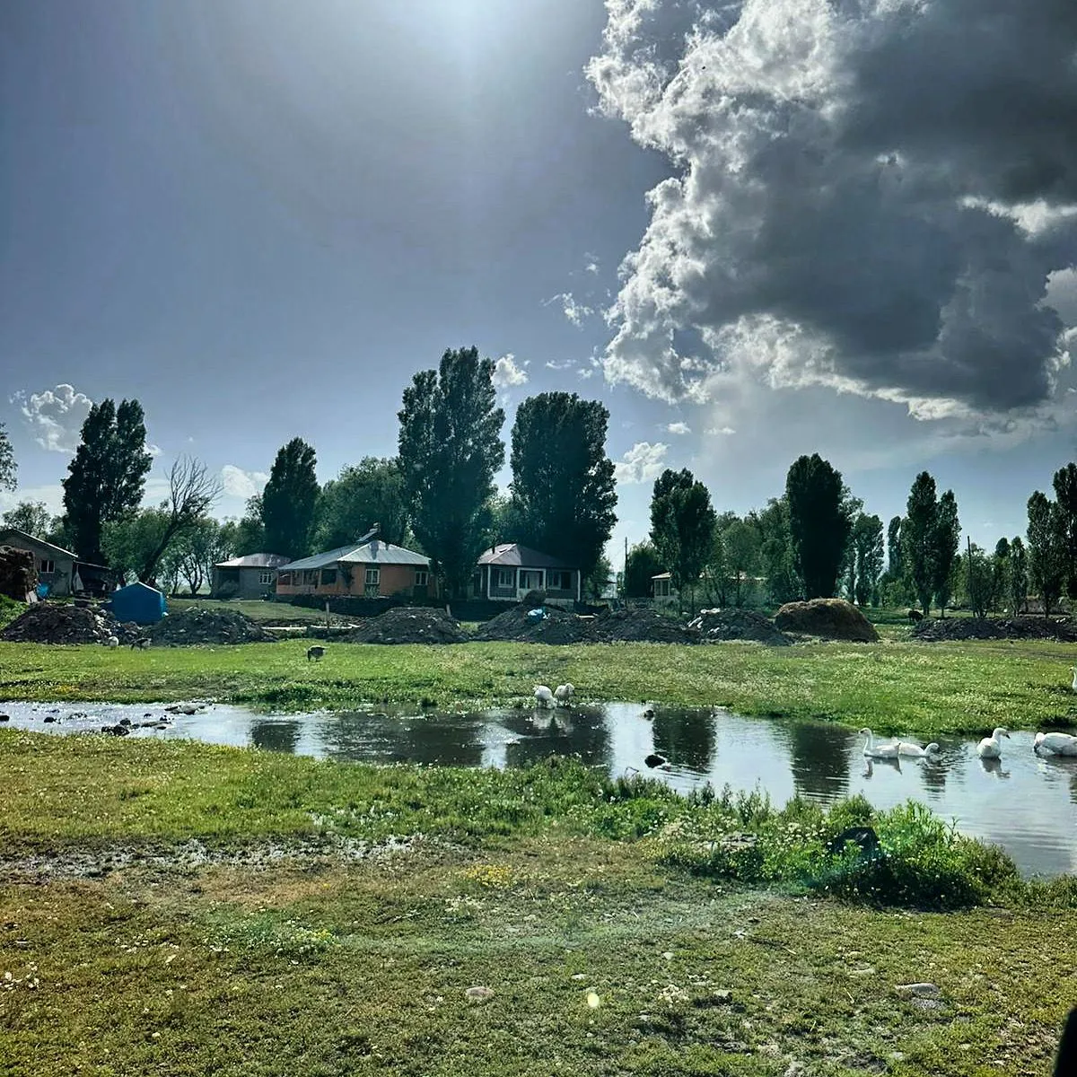 IMG-20241013-WA0016
