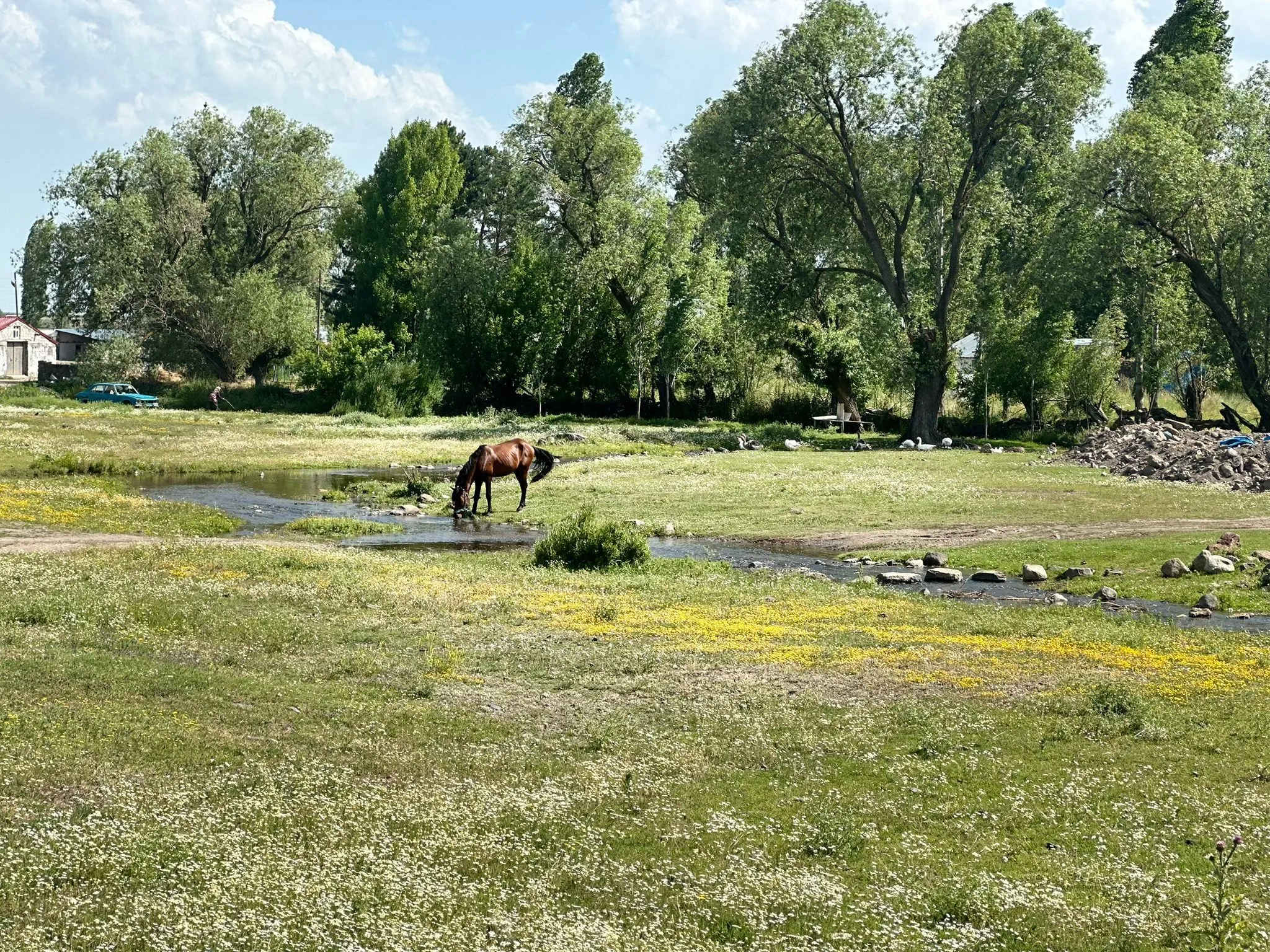 IMG-20241013-WA0044