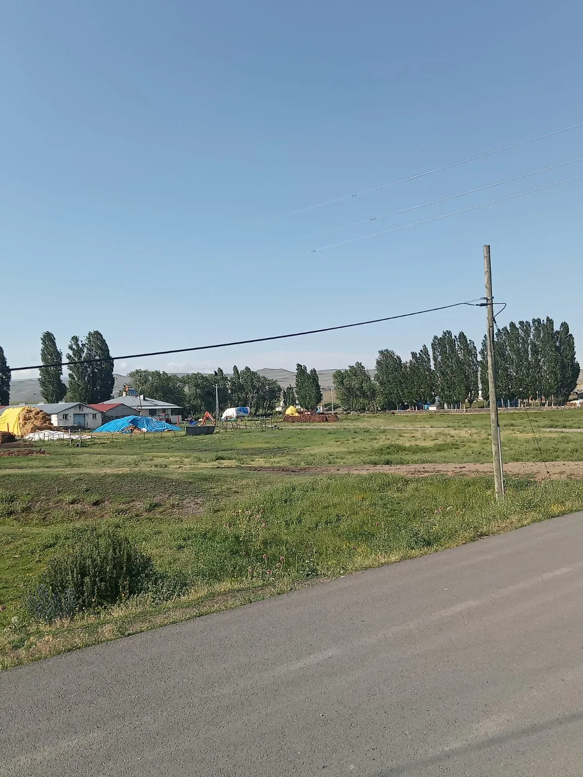 IMG-20241013-WA0045