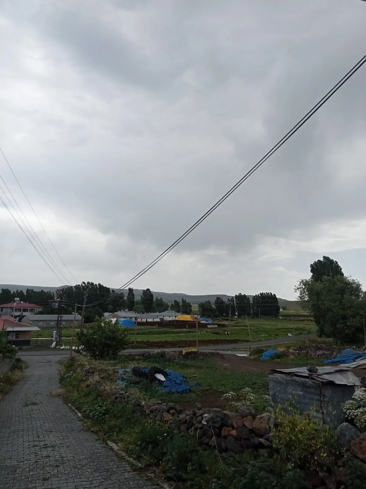 IMG-20241013-WA0048