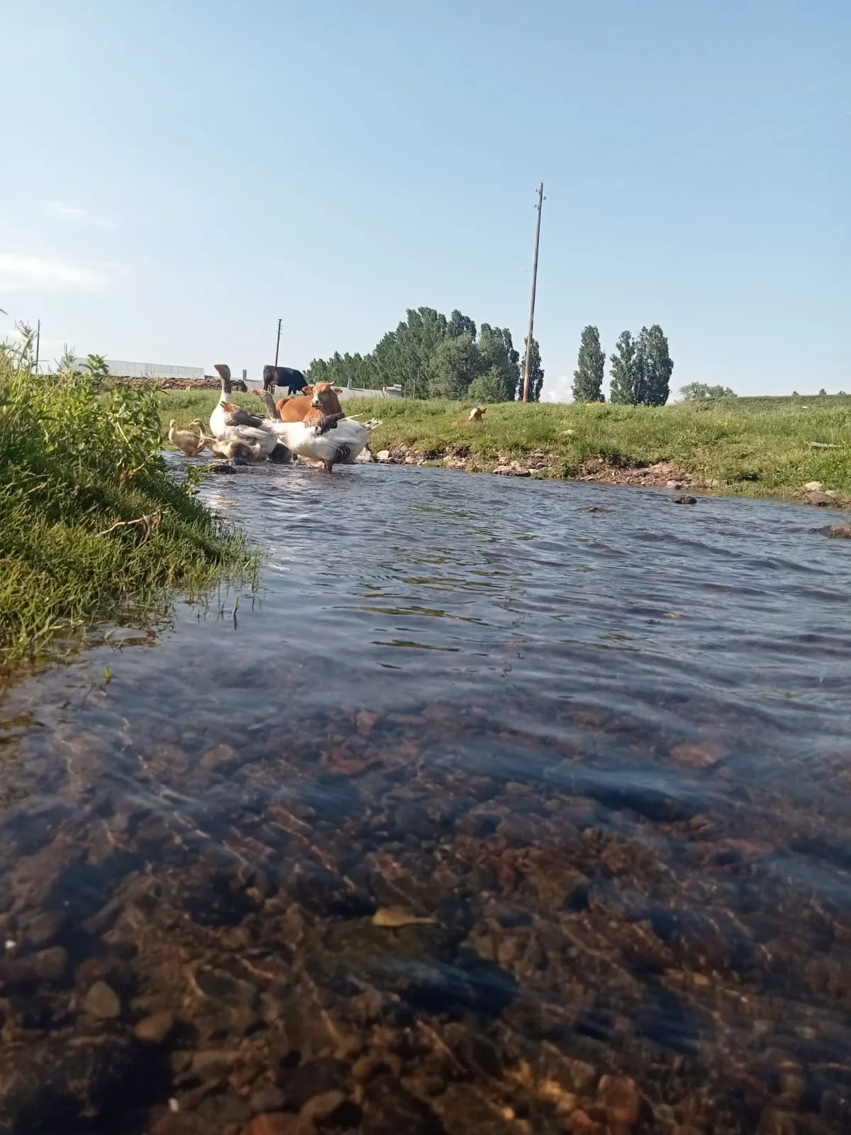 IMG-20241013-WA0053