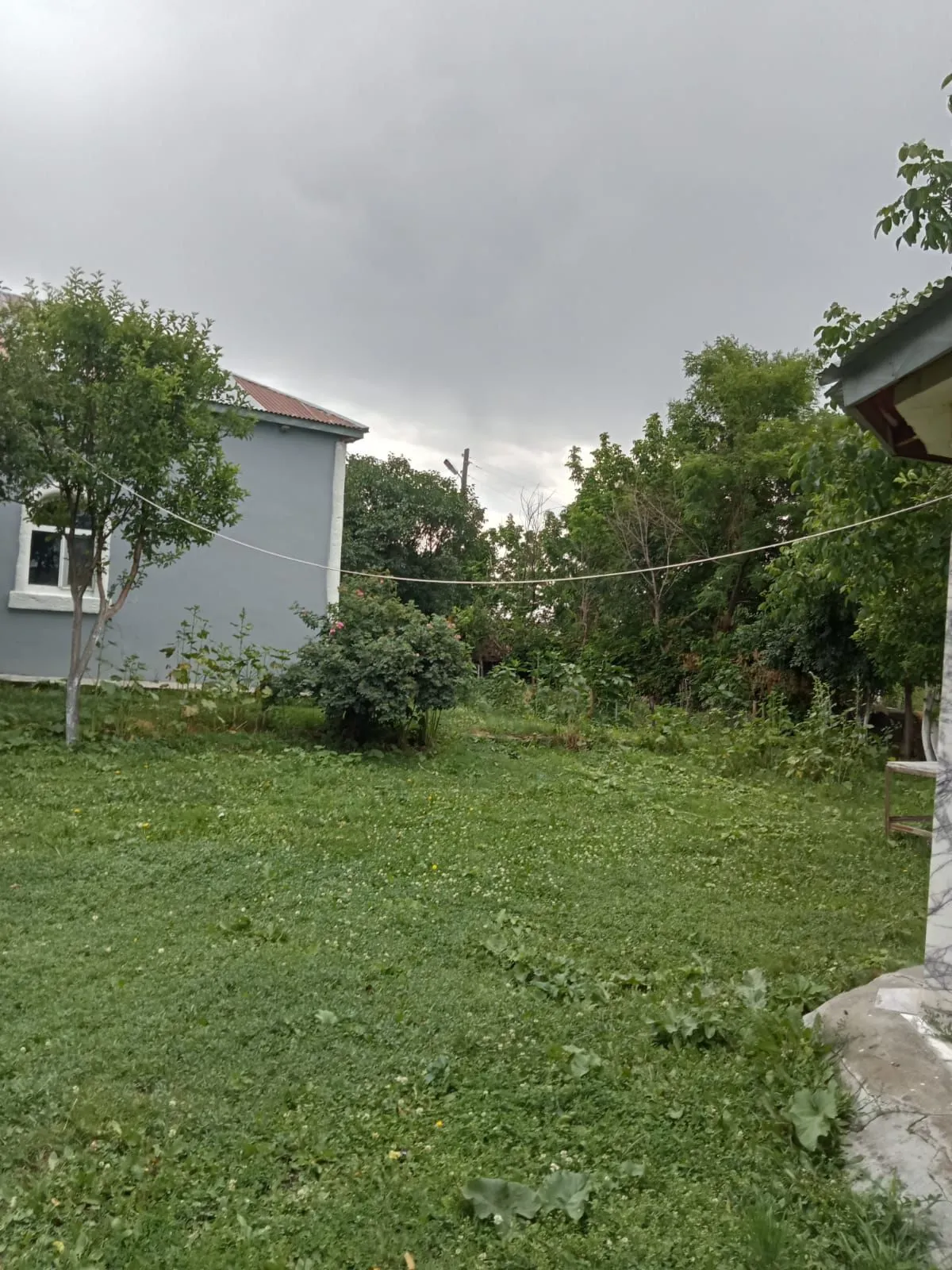 IMG-20241013-WA0059