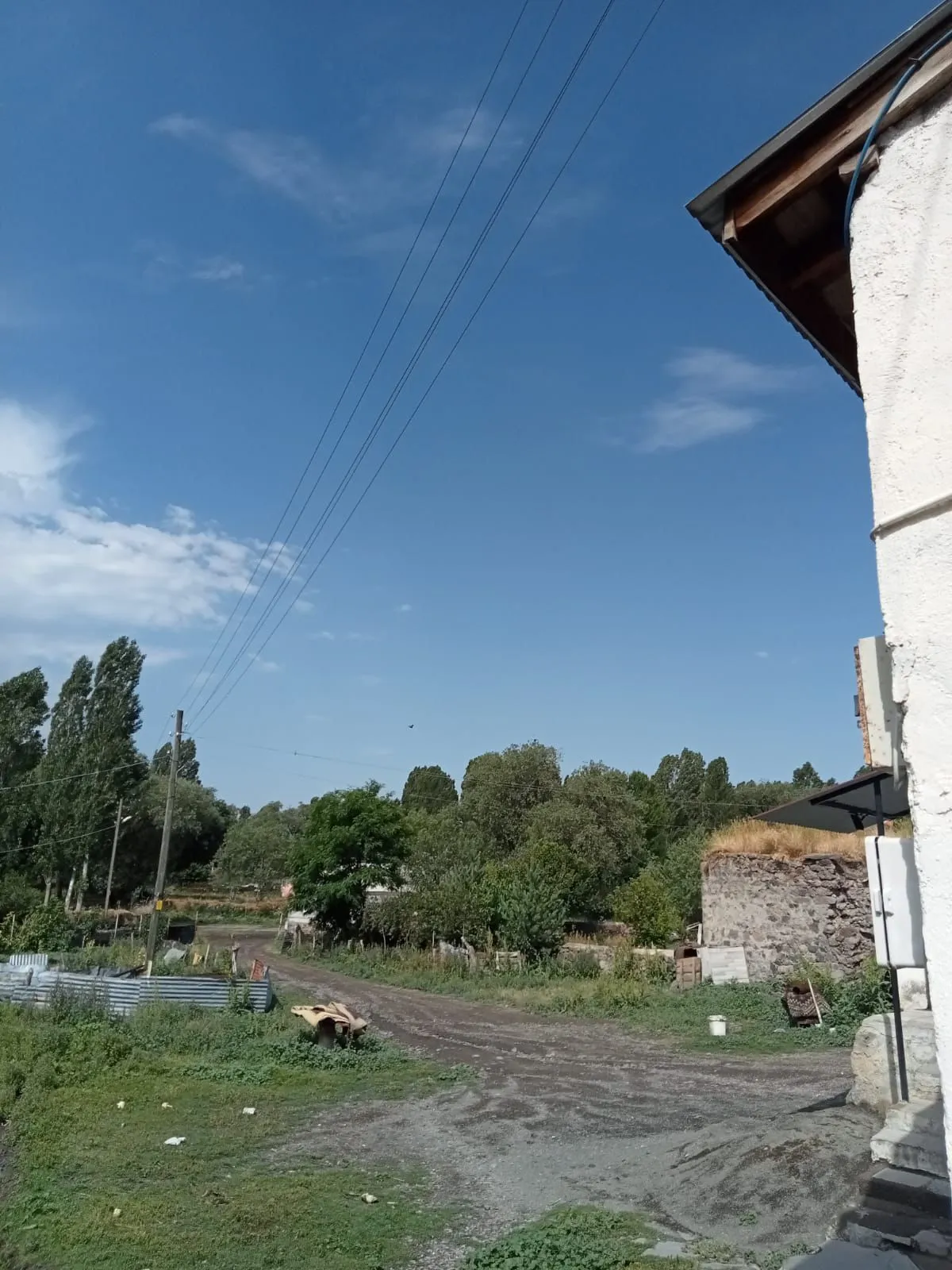 IMG-20241013-WA0060