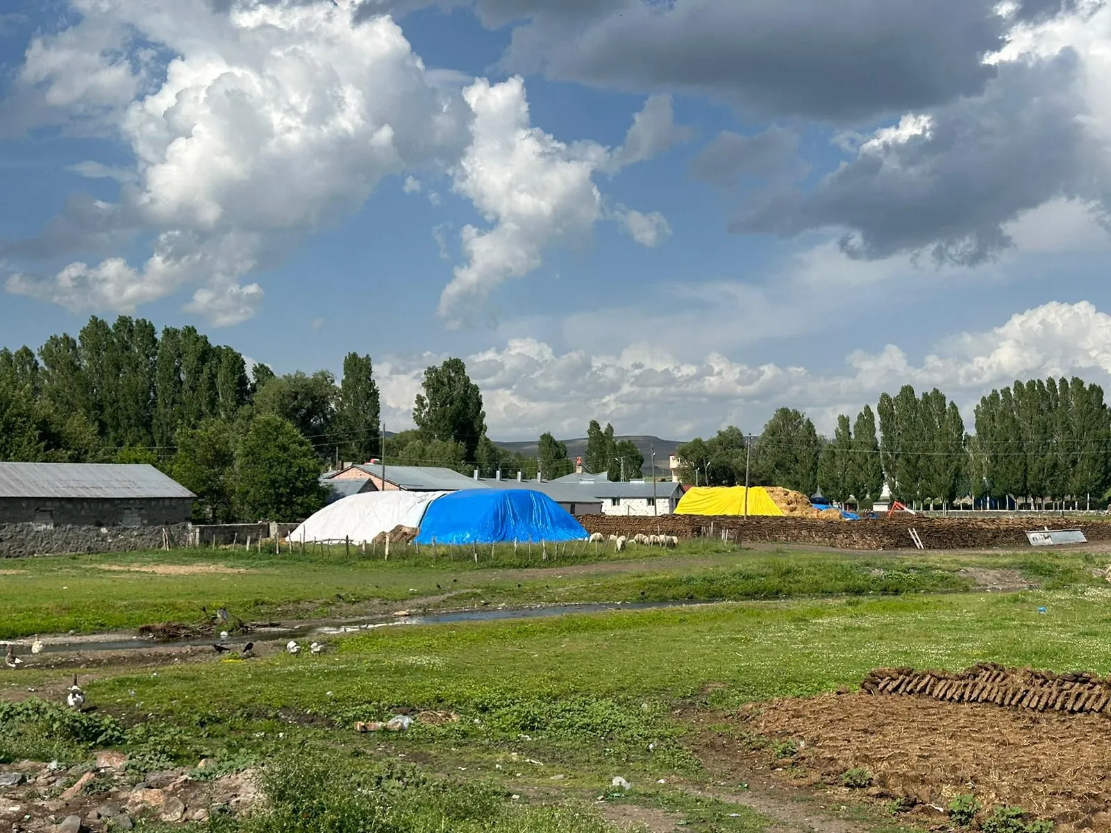 IMG-20241013-WA0070