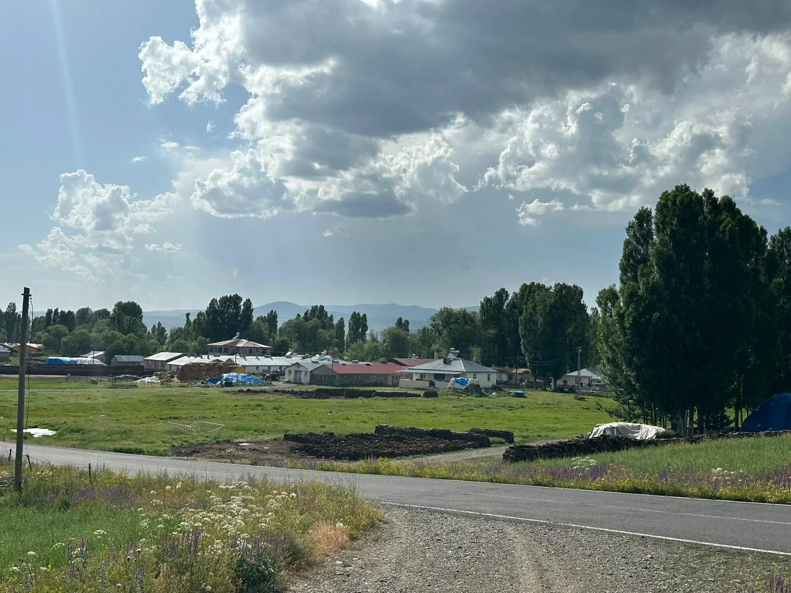 IMG-20241013-WA0074