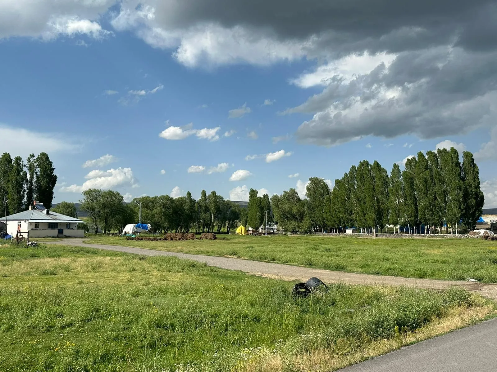 IMG-20241013-WA0082
