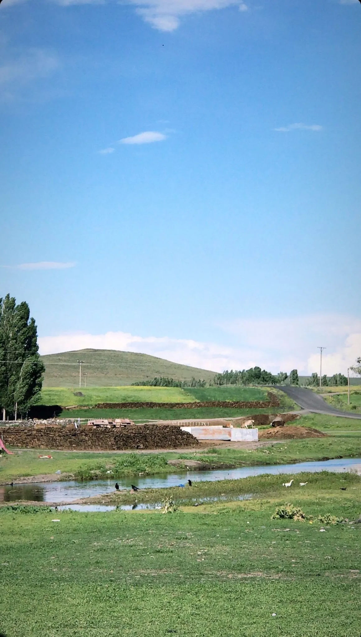 IMG-20241013-WA0087